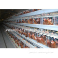 Automatic Poultry Equipment (BDT001-JF-01)
